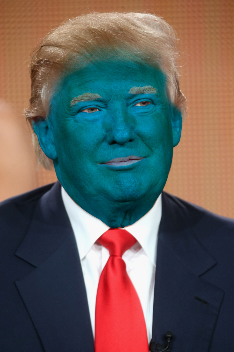 Donald “LeAnn Rimes” Trump